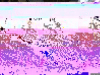 Eroffnung_02-03_010