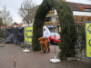 Fischbach06-01-2016-42