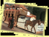 a_Bundenthal-2005-002